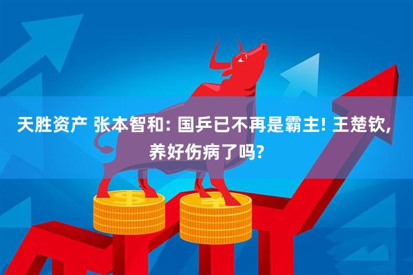 天胜资产 张本智和: 国乒已不再是霸主! 王楚钦, 养好伤病了吗?