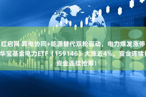 红启网 算电协同+能源替代双轮驱动，电力爆发涨停潮！华宝基金电力ETF（159146）大涨近4%，资金连续抢筹！