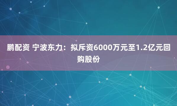 鹏配资 宁波东力：拟斥资6000万元至1.2亿元回购股份