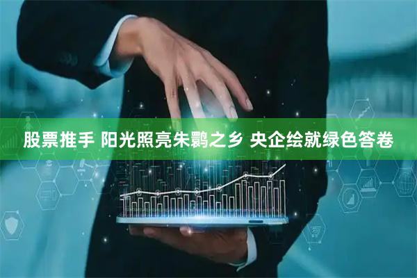 股票推手 阳光照亮朱鹮之乡 央企绘就绿色答卷