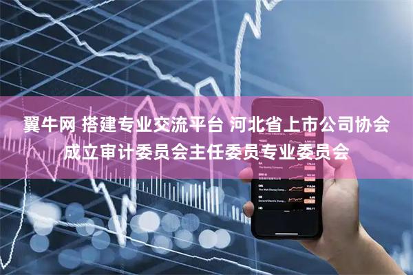 翼牛网 搭建专业交流平台 河北省上市公司协会成立审计委员会主任委员专业委员会