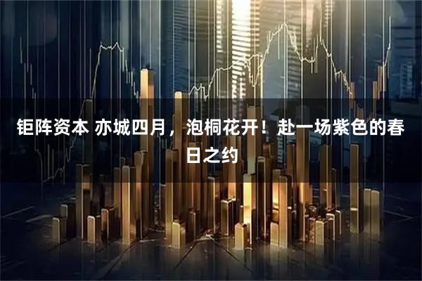 钜阵资本 亦城四月,泡桐花开!赴一场紫色的春日之约