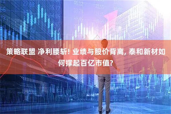 策略联盟 净利腰斩! 业绩与股价背离, 泰和新材如何撑起百亿市值?