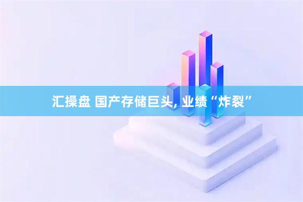 汇操盘 国产存储巨头, 业绩“炸裂”