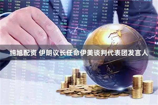 纯旭配资 伊朗议长任命伊美谈判代表团发言人