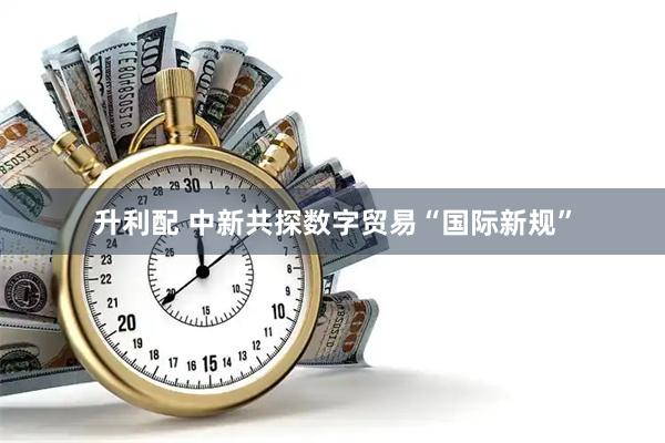 升利配 中新共探数字贸易“国际新规”