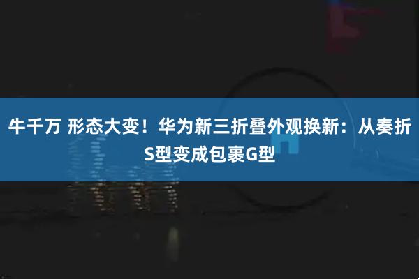 牛千万 形态大变！华为新三折叠外观换新：从奏折S型变成包裹G型