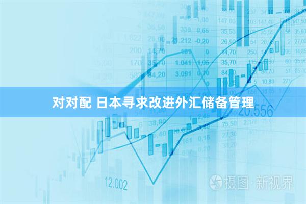 对对配 日本寻求改进外汇储备管理