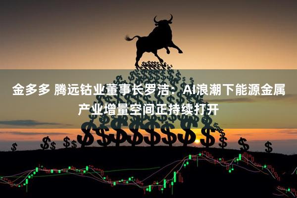 金多多 腾远钴业董事长罗洁：AI浪潮下能源金属产业增量空间正持续打开