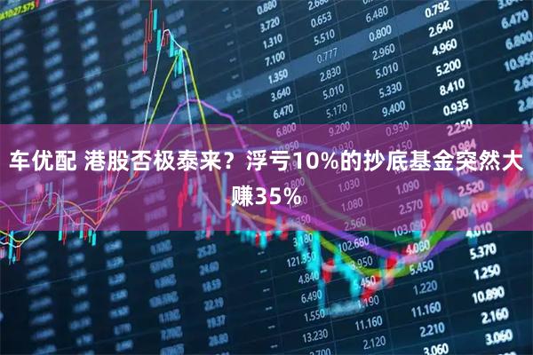 车优配 港股否极泰来？浮亏10%的抄底基金突然大赚35%