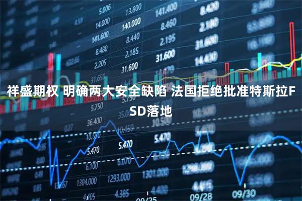 祥盛期权 明确两大安全缺陷 法国拒绝批准特斯拉FSD落地